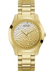 Naiste käekell Guess GW0020L2 цена и информация | Женские часы | kaup24.ee