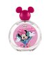 Tualettvesi Disney Minnie Mouse EDT tüdrukutele 100 ml цена и информация | Laste parfüümid | kaup24.ee