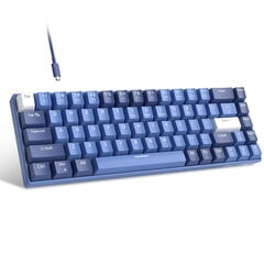 Magegee MK-BOX Dark Blue A, RGB, Ivory White Switch, US цена и информация | Клавиатуры | kaup24.ee