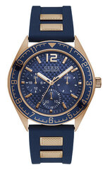 Часы Guess W1167G3 цена и информация | Мужские часы | kaup24.ee