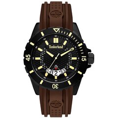 Мужские часы Timberland TBL.15578JSB/02P цена и информация | Мужские часы | kaup24.ee
