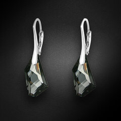 Naiste hõbedased kõrvarõngad DiamondSky Hyperborea (Silver Night), Swarovski kristallidega цена и информация | Серьги | kaup24.ee