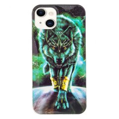 Iphone 13-Ga Ühilduv Ferocious Wolf Luminous Tpu Ümbris hind ja info | Telefoni kaaned, ümbrised | kaup24.ee