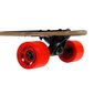 Rula Nils Extreme Longboard Wood Homeland, 104 cm hind ja info | Rulad | kaup24.ee