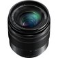 Panasonic LUMIX G Vario 12-60mm f/3.5-5.6 Asph. Power O.I.S (H-FS12060) hind ja info | Objektiivid | kaup24.ee