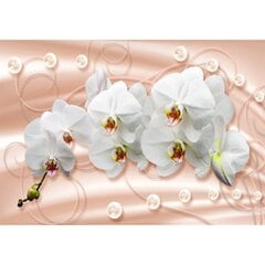 Fototapeet - Orhideed pastelsel taustal hind ja info | Fototapeedid | kaup24.ee