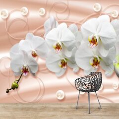 Fototapeet - Orhideed pastelsel taustal цена и информация | Фотообои | kaup24.ee
