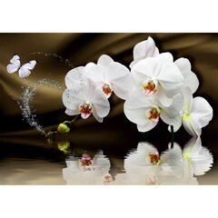 Fototapeet - Orhidee lonks hind ja info | Fototapeedid | kaup24.ee
