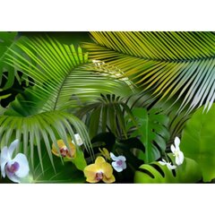 Fototapeet - Džungli orhideed цена и информация | Фотообои | kaup24.ee