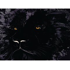 Fototapeet - Lõvi illustratsioon tumedates värvides hind ja info | Fototapeedid | kaup24.ee