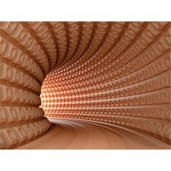 Fototapeet - 3D tunnel цена и информация | Фотообои | kaup24.ee