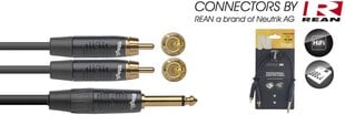 Stagg REAN 2 x RCA/m - 6.35 мм TS/м 10cм цена и информация | Кабели и провода | kaup24.ee