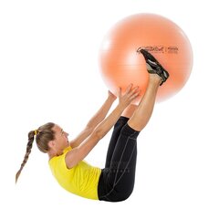 Гимнастические мячи Original Pezzi Gymnastik Ball Maxafe 65 см, розовый цена и информация | SportVida Фитнес упражнений & Реабилитации мяч 55CM диаметр с насосом Коралллого Розовый | kaup24.ee