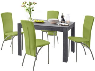 Комплект мебели для столовой Notio Living Lori 120/Nevada, серый/зеленый цена и информация | Комплекты мебели для столовой | kaup24.ee