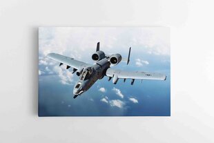 Ründelennuk A-10C Thunderbolt II hind ja info | Seinapildid | kaup24.ee