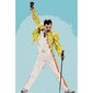 Maalimiskomplekt numbrite järgi Freddie Mercury 35x50 hind ja info | Maalid numbri järgi | kaup24.ee