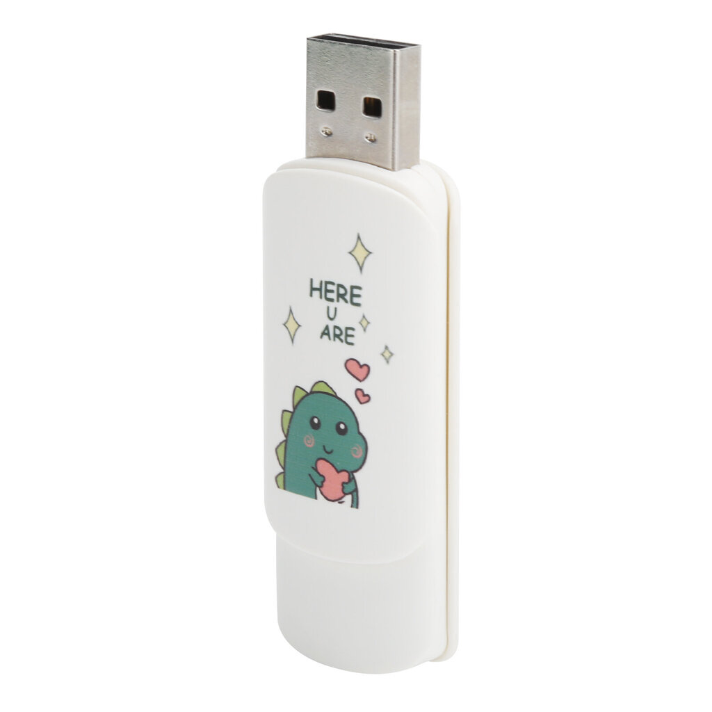 U-ketta slaidikaane tüüp koomiksimustriga kaasaskantav USB-mälupulk Memory Stick andmesalvestusruum Väike dinosaurus südamega 64 GB hind ja info | Sülearvuti tarvikud | kaup24.ee