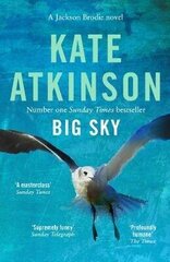 Big Sky цена и информация | Романы | kaup24.ee