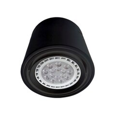 Потолочный светильник Milagro Tubo 1xAR111 (без лампы), белый цена и информация | Потолочные светильники | kaup24.ee