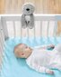 SKIP HOP nutule aktiveeruv Laiskloom, 304326 hind ja info | Imikute mänguasjad | kaup24.ee