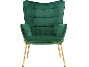 Кресло Notio Living Bruce, зеленое цена и информация | Кресла в гостиную | kaup24.ee