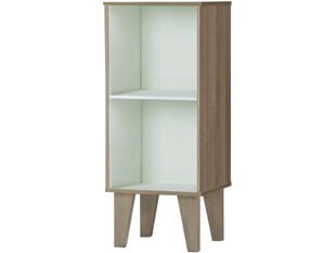 Книжная полка Notio Living Roy, 33x79 см, белая/коричневая цена и информация | Полки | kaup24.ee