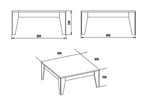 Kohvilaud Kalune Design Lorenz, pruun/must hind ja info | Diivanilauad | kaup24.ee