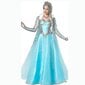 Täiskasvanute printsessi Anna Elsa jõulukostüüm Cos Fancy Dress Outfit Z цена и информация | Karnevali kostüümid | kaup24.ee