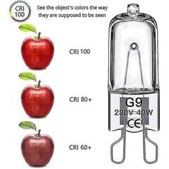 G9 halogeenpirnid 40w, värelusevaba, hämardatav, 600lm, 2800k, G9 kapselpirn, 10 tk цена и информация | Светильники-вентиляторы | kaup24.ee