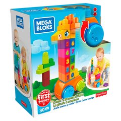 Mega Bloks kaelkirjak hind ja info | Imikute mänguasjad | kaup24.ee