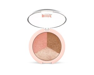 Põsepuna Golden Rose Nude Look Trio 19,5 g цена и информация | Бронзеры (бронзаторы), румяна | kaup24.ee