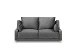 Kahekohaline samet diivan Mazzini Sofas Pansy, helehall