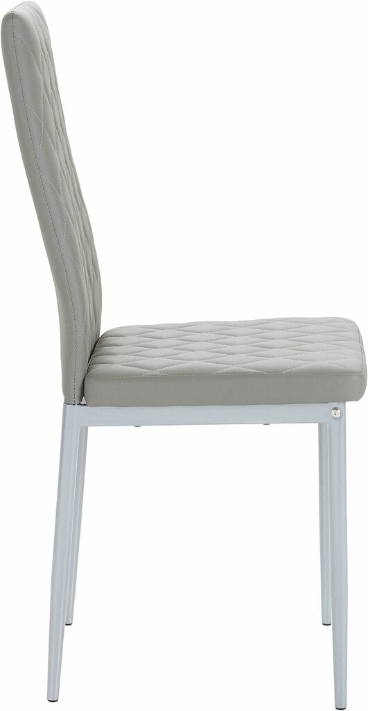 2 tooli komplekt Notio Living Barak, hall hind ja info | Söögilaua toolid, köögitoolid | kaup24.ee