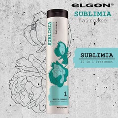 Juuksešampoon Elgon Sublimia Beautifying 10 in 1 250 ml цена и информация | Шампуни | kaup24.ee