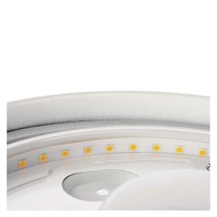 Led Lae(seina) valgusti Cori R 18W/ soe valge WW hind ja info | Laelambid | kaup24.ee