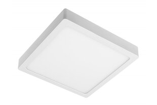 Pinnapealne LED paneel GTV MATIS PLUS 24W/3000K цена и информация | Монтируемые светильники, светодиодные панели | kaup24.ee