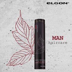 Тонизирующий шампунь для волос для мужчин Elgon Man Day Up, 250 мл цена и информация | Шампуни | kaup24.ee