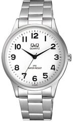 Часы мужские Q&Q C214J204 цена и информация | Мужские часы | kaup24.ee