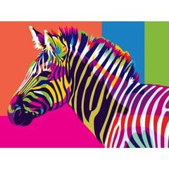 Maalimiskomplekt numbrite järgi Värviline Zebra 30x40 hind ja info | Maalid numbri järgi | kaup24.ee