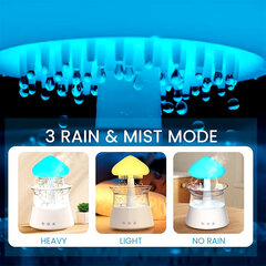 Увлажнители воздуха Rain Cloud 300 мл с 7 цветами Mood Light Aroma Diffuser White Noise Raindrop Humidifiers для дома, спальни, подарок цена и информация | Осушители воздуха, влагопоглотители | kaup24.ee