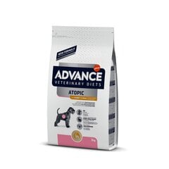 Advance vet dog  atopic rabbit 3.0kg - Для собак с атопическим дерматитом с кроликом цена и информация | Сухой корм для собак | kaup24.ee