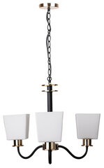 Candellux подвесной светильник Schubert цена и информация | Потолочный светильник, 38 x 38 x 24 см | kaup24.ee