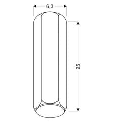 Candellux потолочный светильник 2282800 цена и информация | Потолочные светильники | kaup24.ee