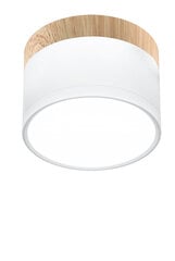 Laevalgusti Candellux 9W LED 4000K цена и информация | Потолочные светильники | kaup24.ee