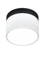 Candellux потолочный светильник 2273631 цена и информация | Потолочные светильники | kaup24.ee