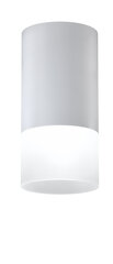 Candellux потолочный светильник 2273686 цена и информация | Потолочные светильники | kaup24.ee