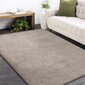 Libisemiskindel vaip Shaggy Latte 120x170 cm hind ja info | Vaibad | kaup24.ee