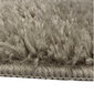 Libisemiskindel vaip Shaggy Latte 160x220 cm hind ja info | Vaibad | kaup24.ee