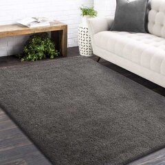 Libisemiskindel vaip Shaggy Grafit 80x150 cm hind ja info | Vaibad | kaup24.ee