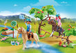 70330 PLAYMOBIL® DreamWorks Spirit Jõe väljakutse цена и информация | Klotsid ja konstruktorid | kaup24.ee